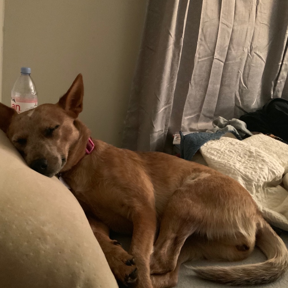 Meet your Posher, Megan